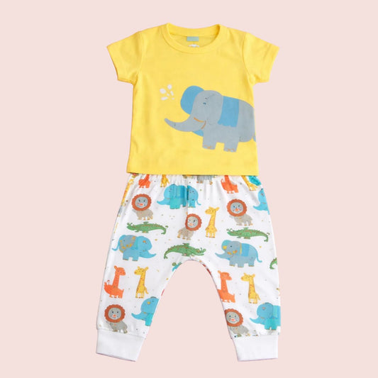Happy Elephant Playwear shaded Set